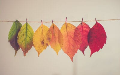 Bienvenue à l’automne, à la tombée des feuilles aux couleurs de feu… et à la tombée des cils